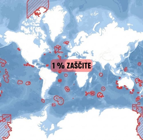 1 % zaščite 1 % zaščite